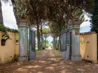 Villa unifamiliare via Nepesina, Centro, Nepi — foto 68 di 73
