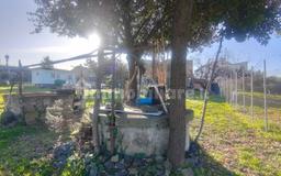 Casale via dei Ceraseti, Castelluccia - Fontana Sala, Marino