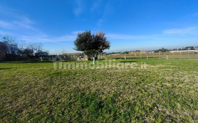 Casale via dei Ceraseti, Castelluccia - Fontana Sala, Marino — foto 45 di 57