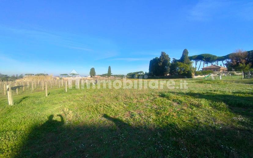Casale via dei Ceraseti, Castelluccia - Fontana Sala, Marino — foto 39 di 57