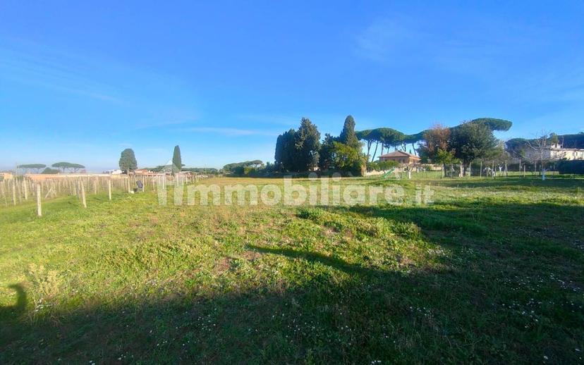 Casale via dei Ceraseti, Castelluccia - Fontana Sala, Marino — foto 46 di 57