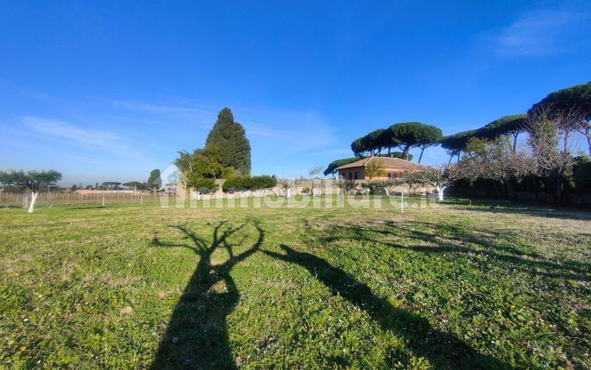 Casale via dei Ceraseti, Castelluccia - Fontana Sala, Marino — foto 50 di 57