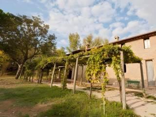 Bilocale ottimo stato, piano terra, Marsciano — foto 10 di 19