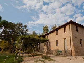 Bilocale ottimo stato, piano terra, Marsciano — foto 5 di 19