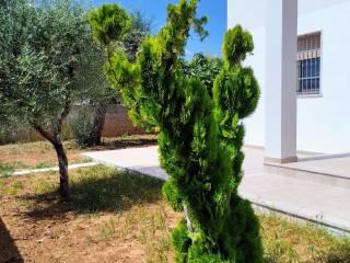Villa unifamiliare via Nerone sn, Pantanagianni Pezze Morelli, Carovigno — foto 9 di 9