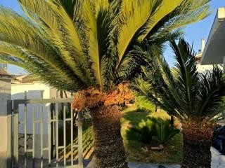 Villa bifamiliare via Lussemburgo 8, Centro, Sabaudia — foto 14 di 18