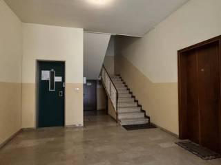 Stanza in affitto in appartamento, Poggio Rusco — foto 10 di 19