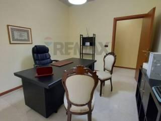 Stanza in affitto in appartamento via conte giusso 13 d, Bari