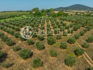 Villa unifamiliare Strada Cava del Gesso 19, Capalbio — foto 2 di 42