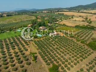 Villa unifamiliare Strada Cava del Gesso 19, Capalbio — foto 8 di 42