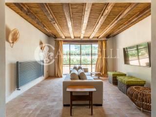 Villa unifamiliare Strada Cava del Gesso 19, Capalbio — foto 24 di 42