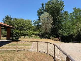 Trilocale Località Motta Grande, Oleggio Castello — foto 18 di 26