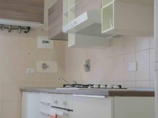 Stanza singola viale Regina Margherita 1, Reggio Emilia — foto 28 di 109