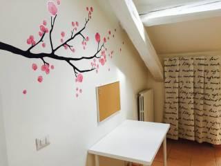 Stanza singola viale Regina Margherita 1, Reggio Emilia — foto 105 di 109