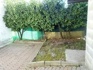 Bilocale viale Libertà 100, Amati - Stadio, Monza — foto 3 di 8