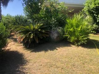 Villa bifamiliare via degli Abeti 24, Capitana, Quartu Sant'Elena — foto 6 di 10
