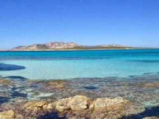 Trilocale via Cala Di Li Nassi, 14 A, Centro, Stintino — foto 16 di 30