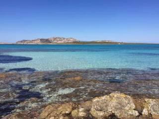 Trilocale via Cala Di Li Nassi, 14 A, Centro, Stintino — foto 5 di 30