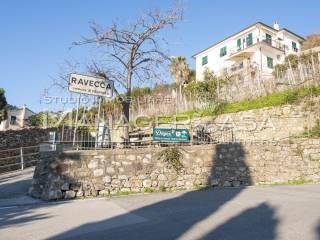 Trilocale Località Ravecca, Anzo Setta, Framura — foto 27 di 41