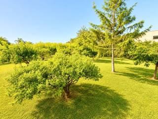 Villa bifamiliare viale delle Provincie, Centro, Giarre — foto 32 di 43