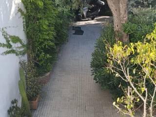 Villa unifamiliare via Plauto, Torretta — foto 6 di 42