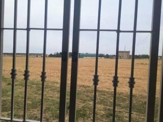 Villa unifamiliare via Vandelli, Torre Maina, Maranello — foto 6 di 25