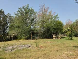 Casale, da ristrutturare, 550 m², Crespina e Lorenzana — foto 3 di 28