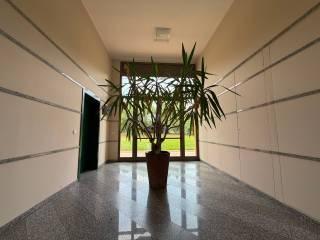 Trilocale via Salvo D'Acquisto, San Lazzaro, San Lazzaro di Savena — foto 13 di 26
