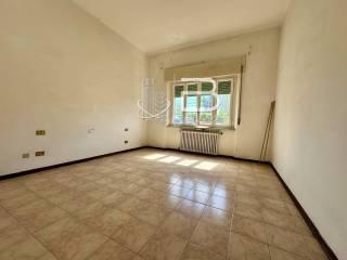 Villa unifamiliare via Giosuè Carducci 10, Migliarino, Vecchiano — foto 40 di 43