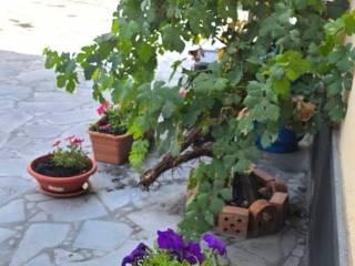 Terratetto unifamiliare via Villaggio San Francesco, Ragalna — foto 26 di 32
