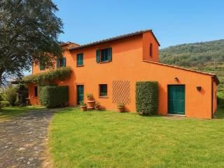 Casale via Roma, San Giuliano Terme Paese, San Giuliano Terme — foto 28 di 37