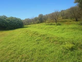 Casale via Roma, San Giuliano Terme Paese, San Giuliano Terme — foto 23 di 37