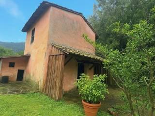 Casale via Roma, San Giuliano Terme Paese, San Giuliano Terme — foto 29 di 37