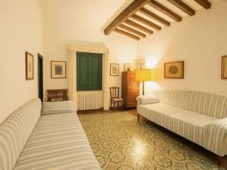 Casale via Roma, San Giuliano Terme Paese, San Giuliano Terme — foto 37 di 37