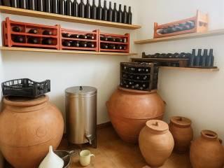 Casale via Roma, San Giuliano Terme Paese, San Giuliano Terme — foto 36 di 37