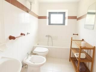 Casale via Roma, San Giuliano Terme Paese, San Giuliano Terme — foto 31 di 37