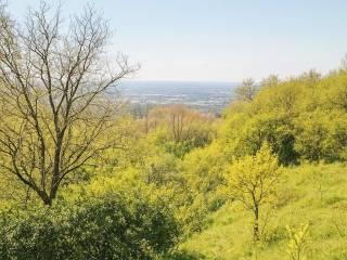 Casale via Roma, San Giuliano Terme Paese, San Giuliano Terme — foto 2 di 37