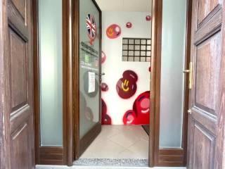Bilocale via Stefano Molli 14, Centro, Borgomanero — foto 15 di 24