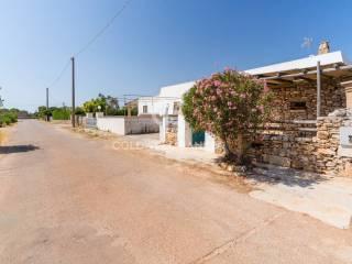 Villa unifamiliare Contrada Specolizzi, 0, Salve — foto 17 di 18