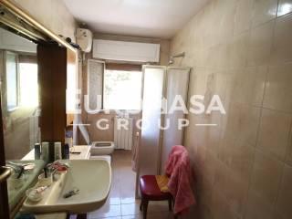 Trilocale via Pesciatina,, Gragnano - Lappato, Capannori — foto 3 di 15