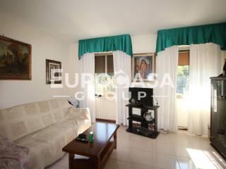 Trilocale via Pesciatina,, Gragnano - Lappato, Capannori — foto 14 di 15