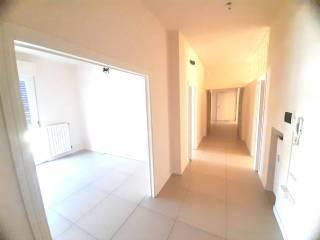 Appartamento buono stato, sesto piano, Cecina Centro, Cecina — foto 22 di 22