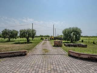 Appartamento via Domenico Cimarosa, Pontasserchio, Pappiana, San Giuliano Terme — foto 25 di 25