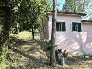 Casale via Santa Maria in Turano, Poggio Mirteto — foto 4 di 14