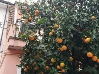 Attico via San Sebastiano 33, Tramonti — foto 9 di 16