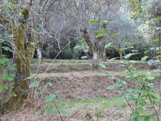 Terratetto unifamiliare via XXV Aprile,, Centro, Ameglia — foto 18 di 18