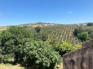 Terratetto unifamiliare via della Fonte Vecchia 9, Città Sant'Angelo — foto 15 di 15