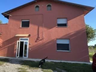 Terratetto plurifamiliare via Lunga 38, Renazzo, Cento — foto 4 di 4