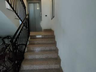 Quadrilocale via Petrara 113, Tremulini - Eremo, Reggio Calabria — foto 17 di 17