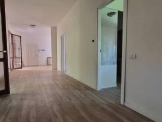 Appartamento in villa via Provinciale 5, San Vincenzo, Galliera — foto 9 di 14